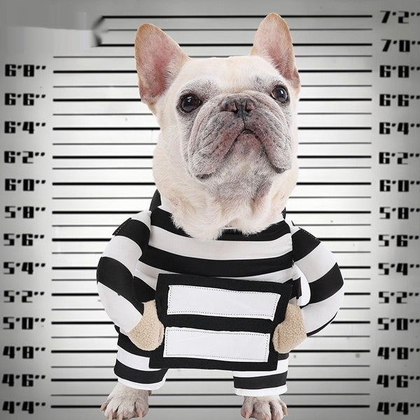 Jailbird Prisoner Costume for Dogs - Funny Halloween Pet Outfit