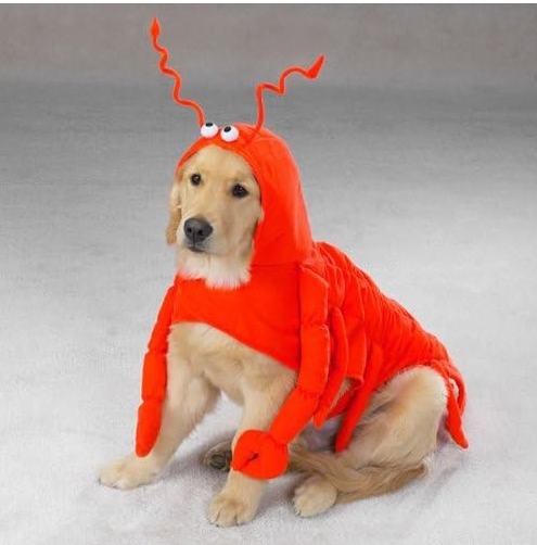Dog Lobster Costume - Funny Halloween Pet Outfit
