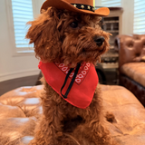 Cowboy Hat & Bandana Set for Cats - Yeehaw Halloween Pet Costume