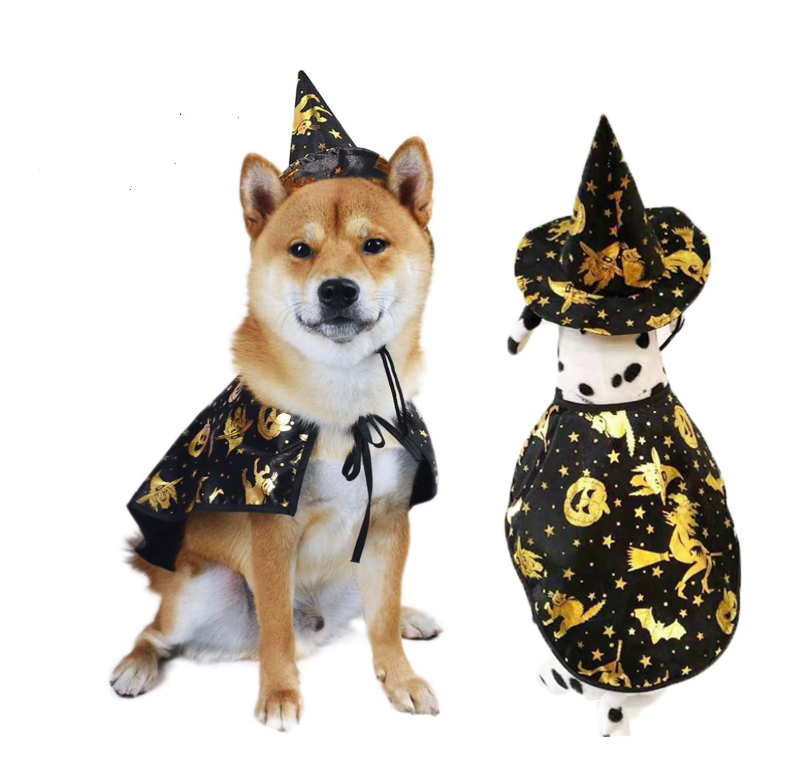 Dog Wizard Cloak & Hat - Magical Halloween Pet Costume