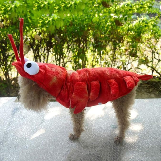 Dog Lobster Costume