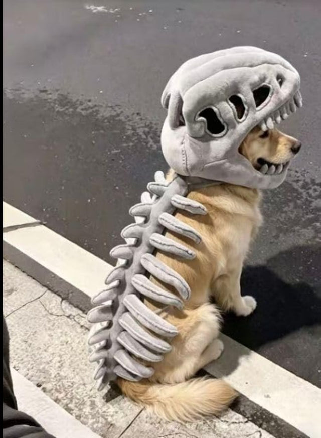 Dog & Cat Glow-in-the-Dark Dino Skeleton Costume