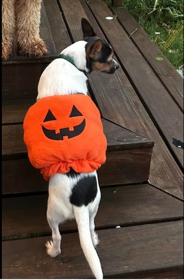 Dog & Cat Plush Pumpkin Costume