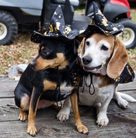 Dog Wizard Cloak & Hat
